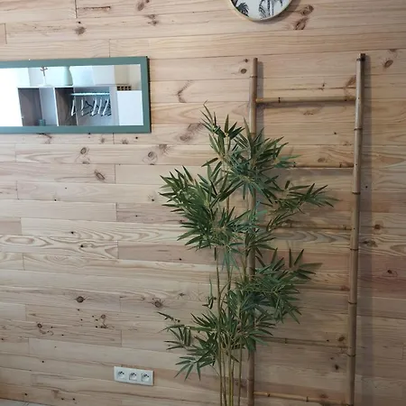 Lejlighed Chambrette Boulevard Des Pyrenees Hypercentre 10m Carre Wc Sur Le Palier, Porte40 Pau