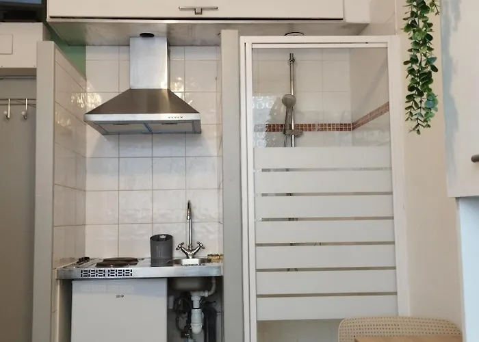 Apartment Chambrette Boulevard Des Pyrenees Hypercentre 10m Carre Wc Sur Le Palier, Porte40 Pau