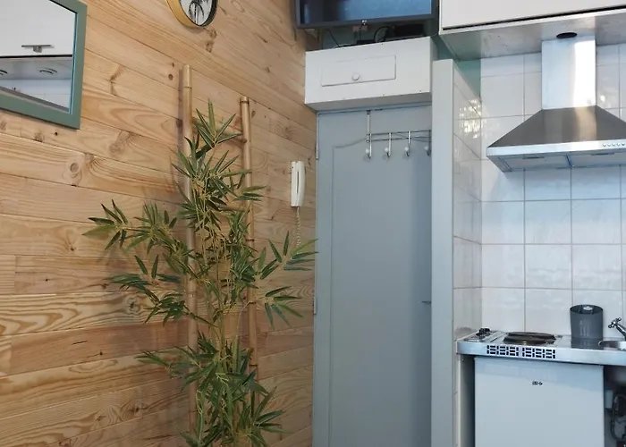 Apartment Chambrette Boulevard Des Pyrenees Hypercentre 10m Carre Wc Sur Le Palier, Porte40 *