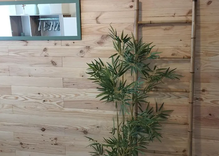 Apartment Chambrette Boulevard Des Pyrenees Hypercentre 10m Carre Wc Sur Le Palier, Porte40 Pau