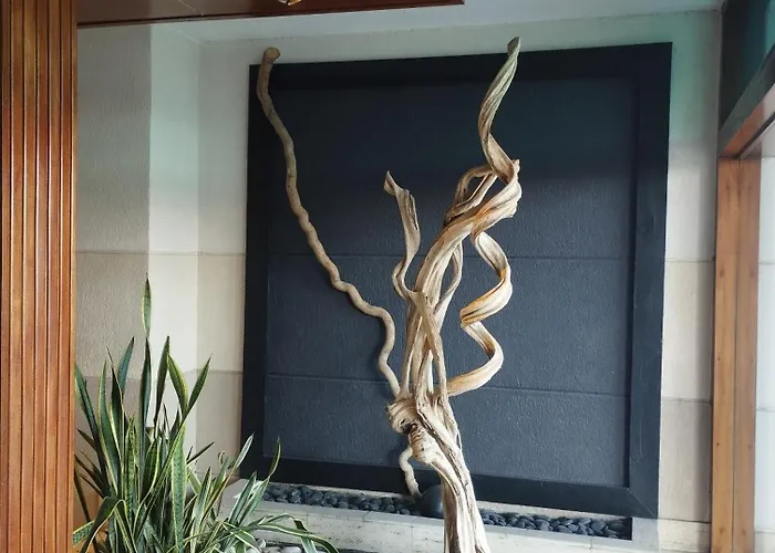 Chambrette Boulevard Des Pyrenees Hypercentre 10m Carre Wc Sur Le Palier, Porte40 *